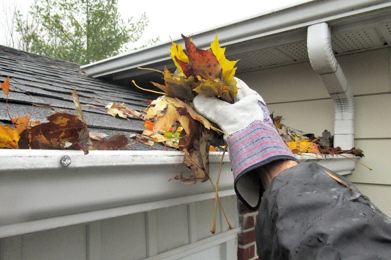 Clogged Gutter Clearing in Monmouth County, NJ