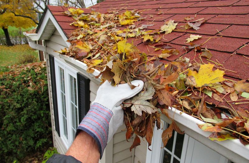 Gutter Leaf Clearing in Fredericksburg, VA