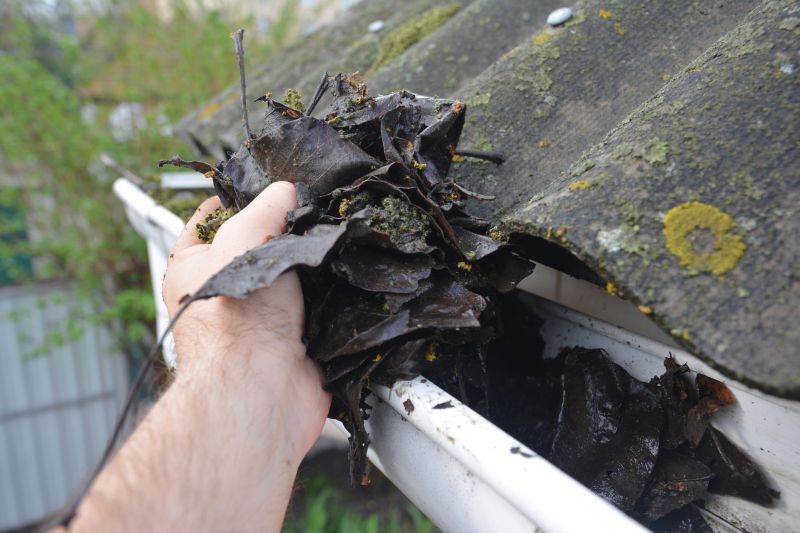 Gutter Pine Needle Removal in Baltimore, MD