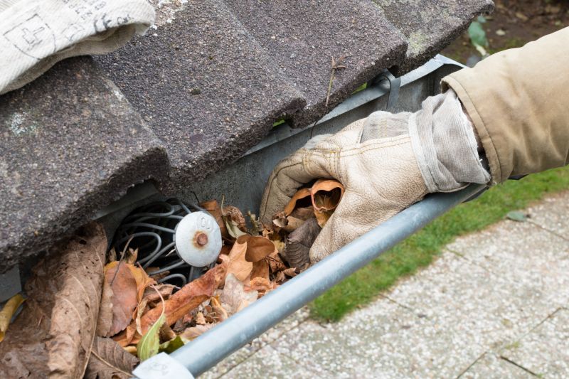 Gutter Pine Needle Removal in Frederick, MD